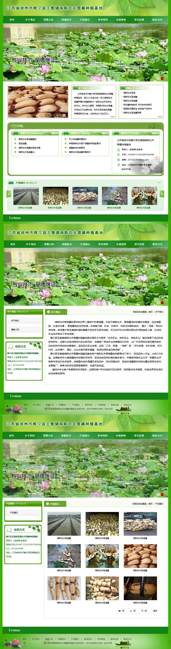江苏省徐州市睢宁县王集镇南斯拉夫雪藕�U�植基地